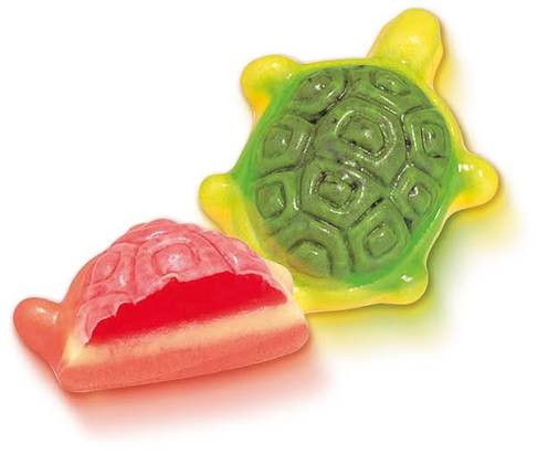 Turtle Jelly Filled